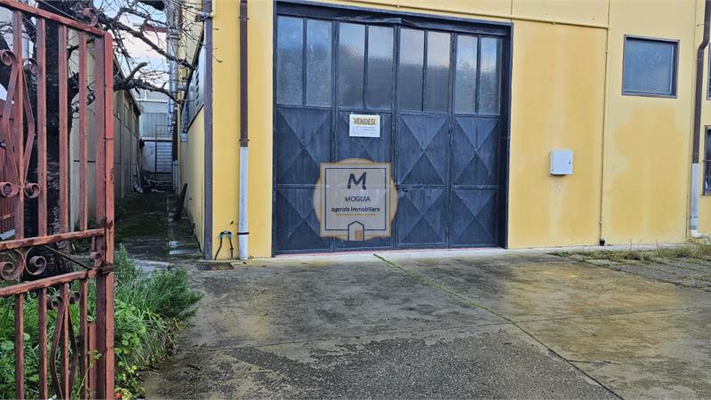 Casarza Ligure-Capannone-800MQ 