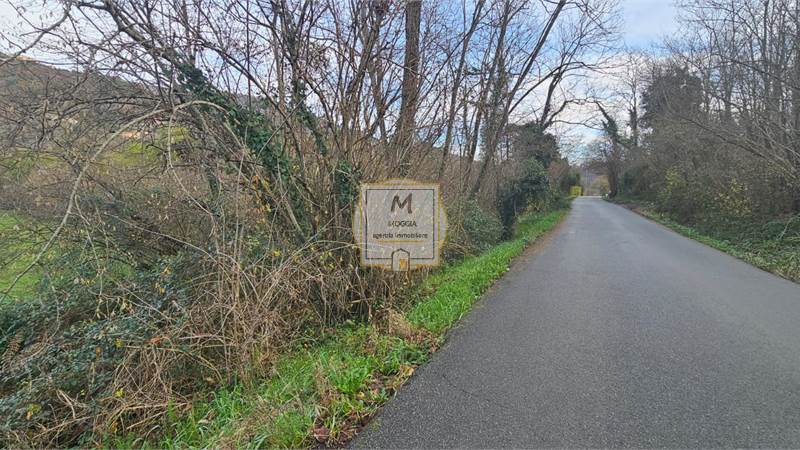San Colombano Certenoli - Terreno - 3.000MQ